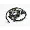 Gyújtás alaplap állórész ATV / QUAD 6 tekercses – quad / ATV elektromosság és gyújtás alkatrész, cikkszám: P00687