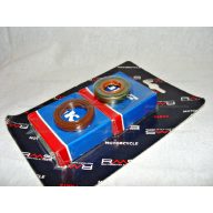 Csapágy + szimering szett MINARELLI AM6 RMS 0560