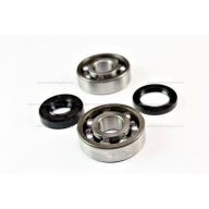 Csapágy + szimering szett MINARELLI AM6