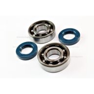 Csapágy + szimering szett TOP PERFORMANCES (SKF) DERBI