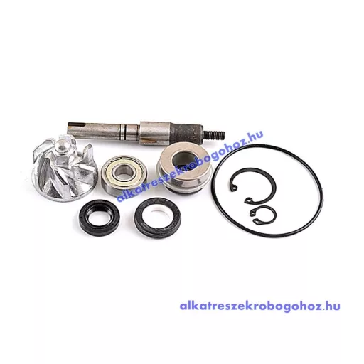Vízpumpa felújító Honda Sh / Chiocciola 125-150 – robogó motorblokk alkatrész, cikkszám: P03600