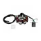 Gyújtás alaplap állórész ATV BASHAN 200 88.5cm – quad / ATV elektromosság és gyújtás alkatrész, cikkszám: P8679