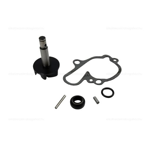 Vízpumpa felújító készlet Minarelli AM6 - Racing Force