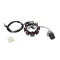 Gyújtás alaplap állórész ATV / QUAD 200ccm Bashan – quad / ATV elektromosság és gyújtás alkatrész, cikkszám: P14095